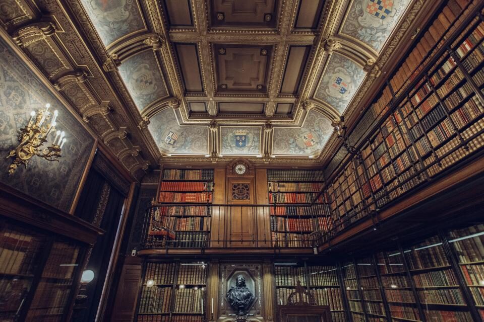 Sunlit shelves in a university library